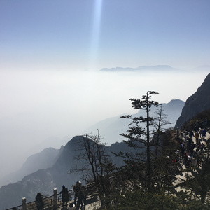 陈冠希张柏芝视频云盘
