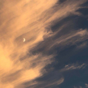 陈冠希张柏芝视频云盘
